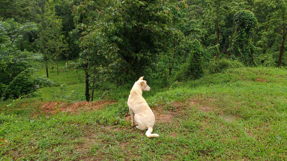 Photo of Rejuvenating trip to Wayanad (Kerela) 4/8 by Megha Goel