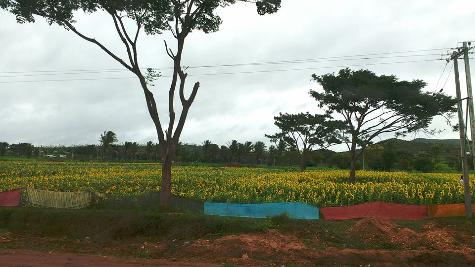 Photo of Rejuvenating trip to Wayanad (Kerela) 8/8 by Megha Goel