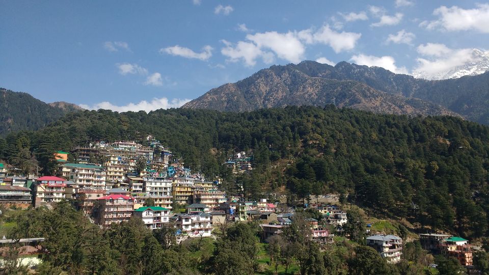 Photo of 5 cafes you shouldn’t miss in McLeodganj : by Megha Goel