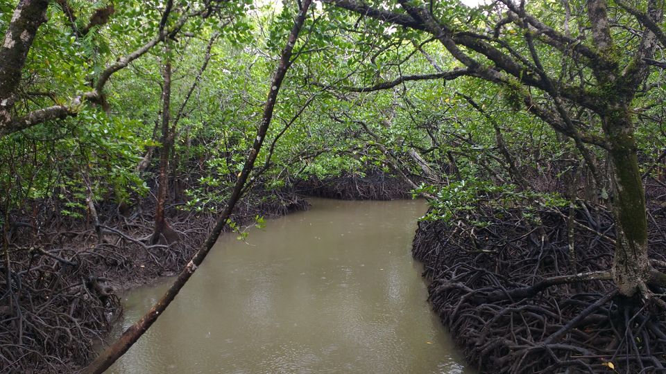 Photo of Andamans with my Mom- Part 2 1/2 by Megha Goel
