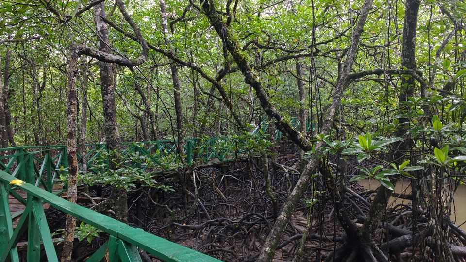 Photo of Andamans with my Mom- Part 2 2/2 by Megha Goel