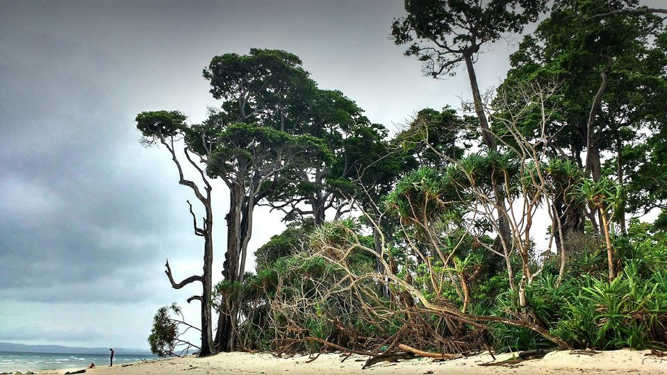 Photo of Andamans with my mom - Part 3 !! 3/4 by Megha Goel