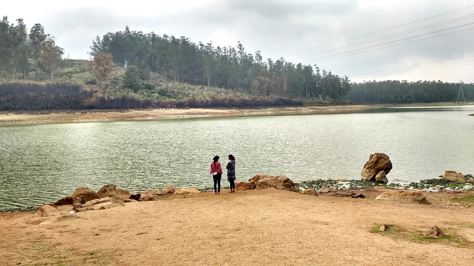 Photo of Pine Forest Shooting Spot, Nilgiris, Tamil Nadu, India by Megha Goel