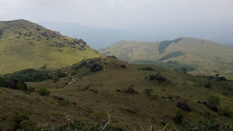Photo of Trek to Coorg's highest peak 1/2 by Megha Goel