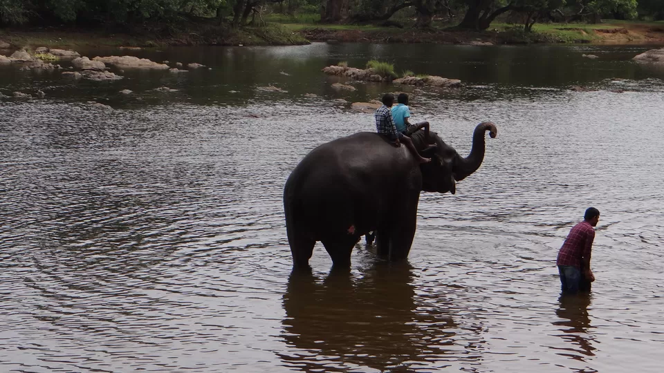 Photo of Dubare Elephant Camp, Nanjarayapatna, Karnataka, India by Megha Goel