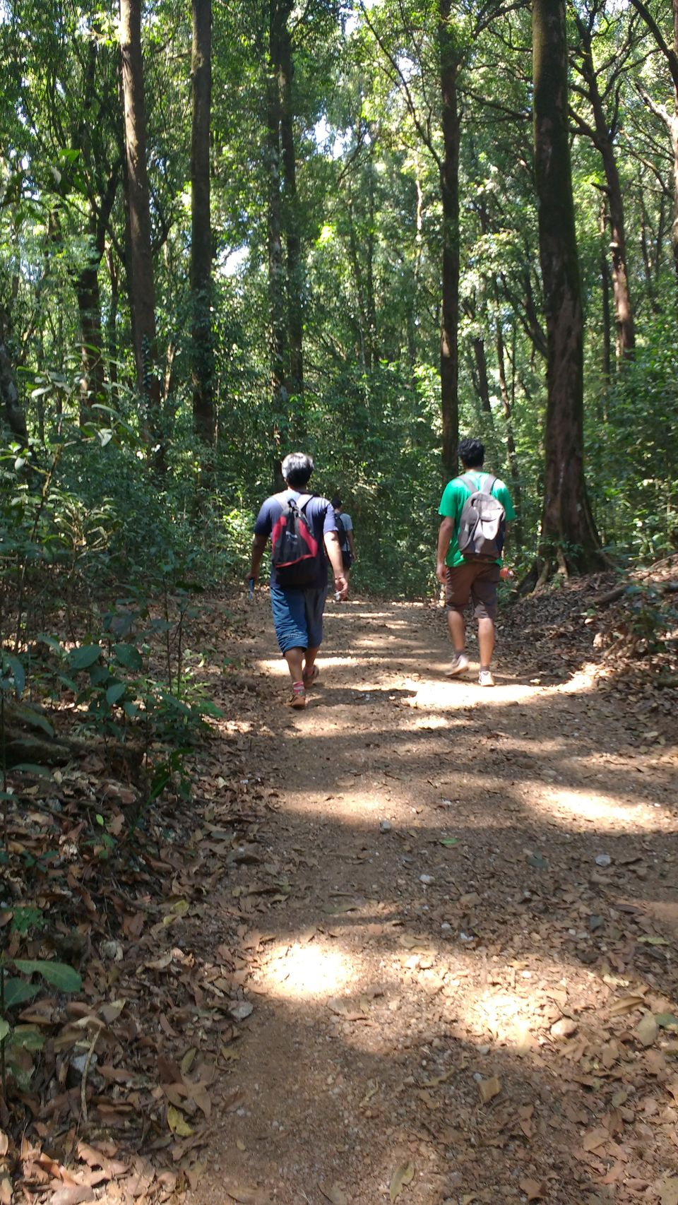 Photo of Kudremukh- Photoblog 3/14 by Megha Goel