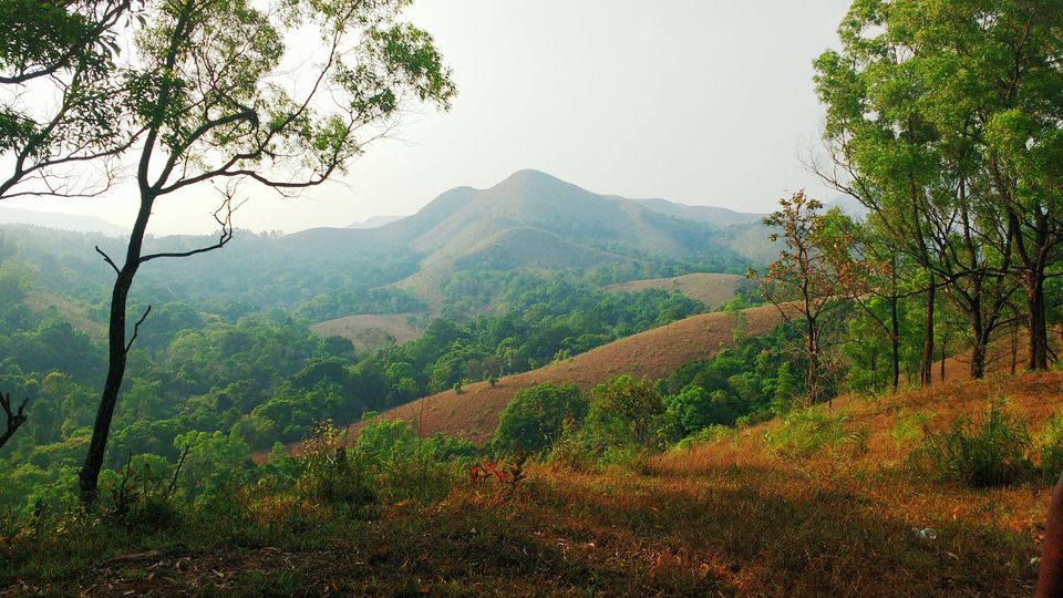 Photo of Kudremukh- Photoblog 11/14 by Megha Goel