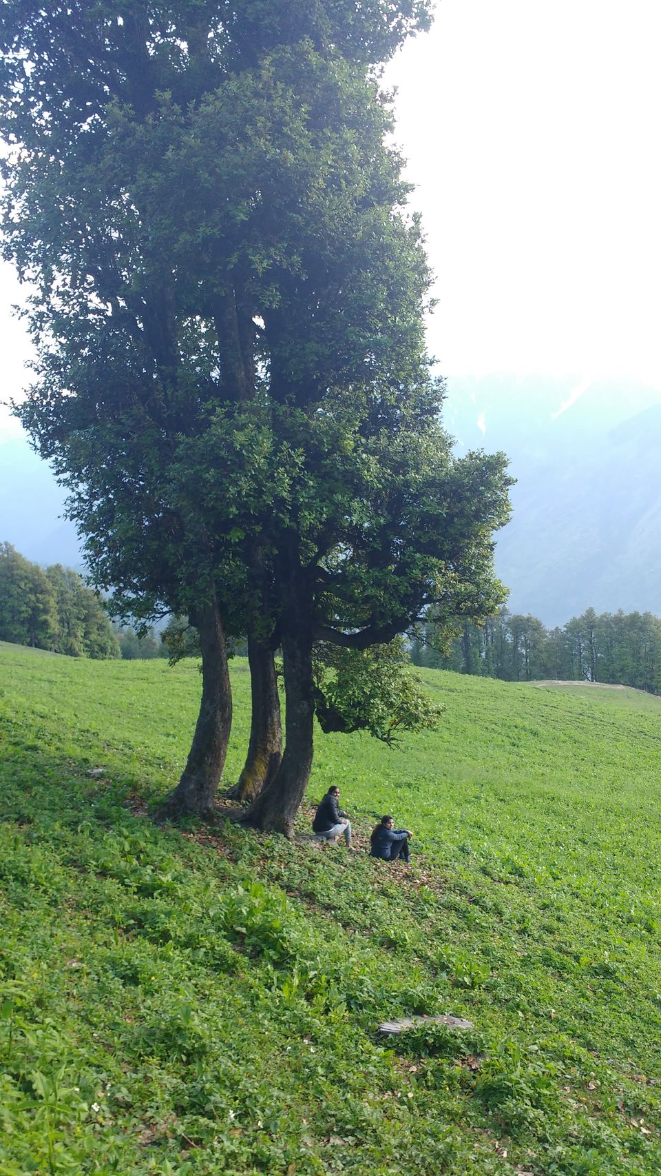 Photo of Bhrigu lake trek - Tripling with Siblings 3/10 by Megha Goel