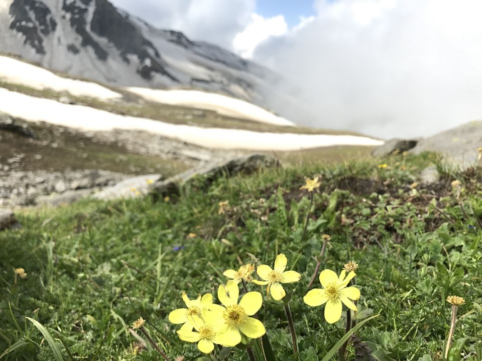 Photo of Bhrigu lake trek - Tripling with Siblings 4/10 by Megha Goel