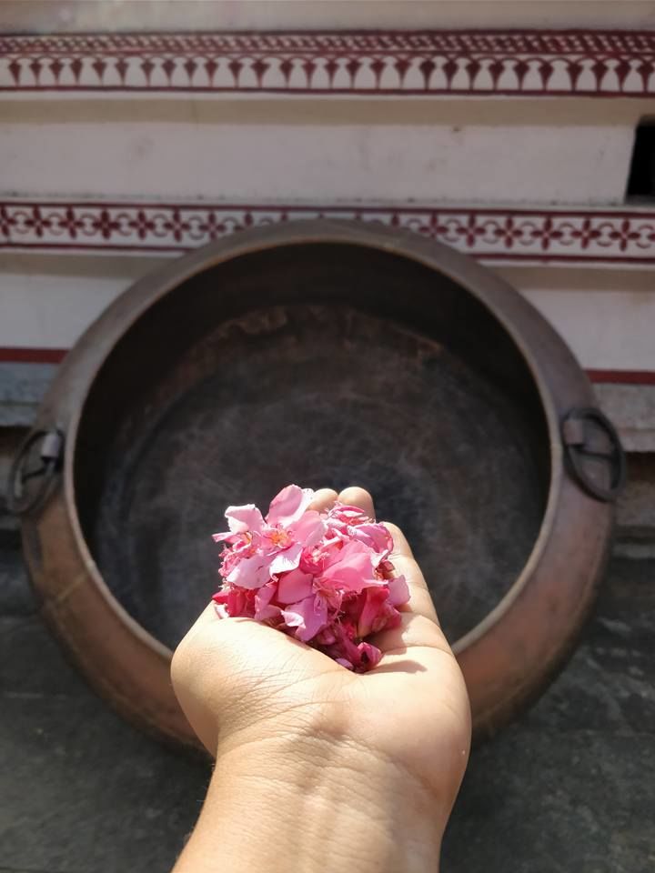 Photo of A day in Udupi 10/10 by Megha Goel