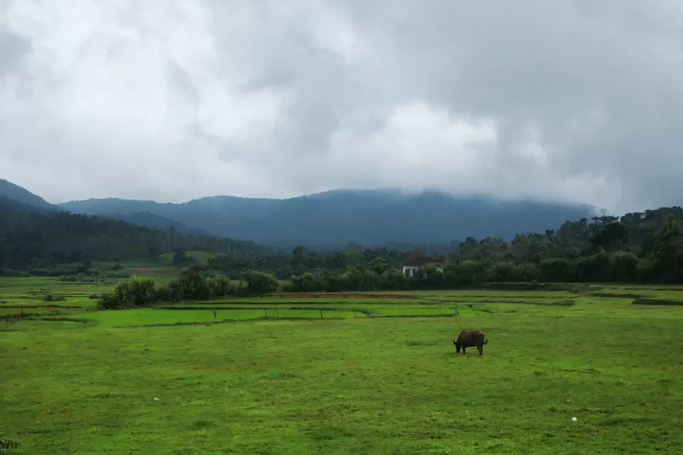 Photo of Sakleshpur, Karnataka, India by Mouna Nanaiah