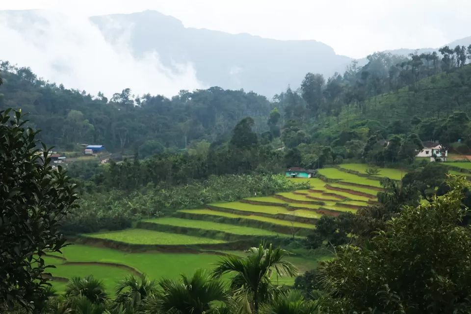 Photo of Sakleshpur, Karnataka, India by Mouna Nanaiah