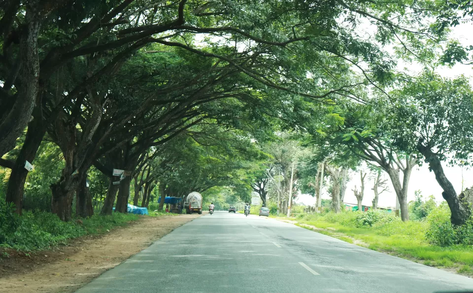 Photo of Sakleshpur, Karnataka, India by Mouna Nanaiah