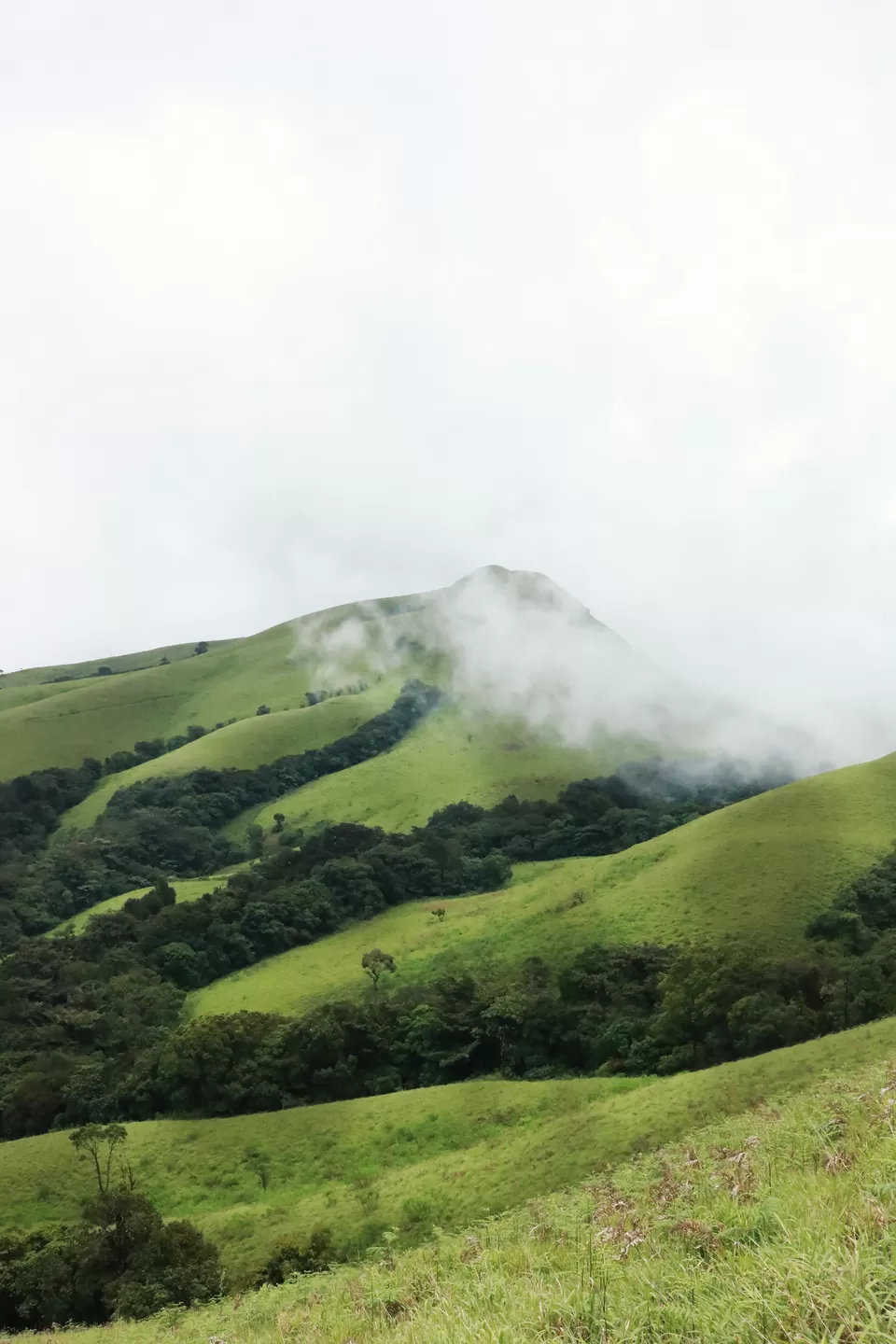 Photo of Kudremukh, Karnataka, India by Mouna Nanaiah