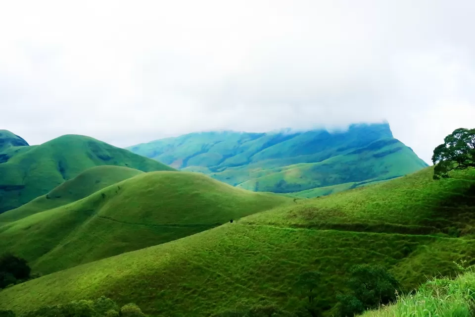 Photo of Kudremukh, Karnataka, India by Mouna Nanaiah