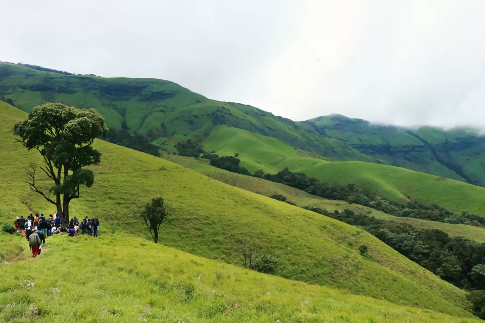 Photo of Kudremukh, Karnataka, India by Mouna Nanaiah
