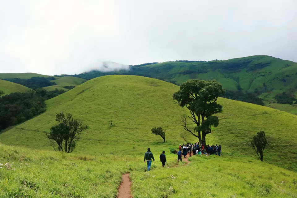 Photo of Kudremukh, Karnataka, India by Mouna Nanaiah