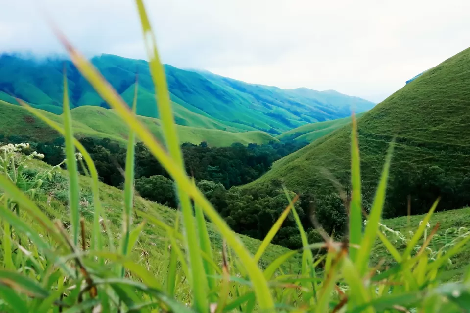 Photo of Kudremukh, Karnataka, India by Mouna Nanaiah