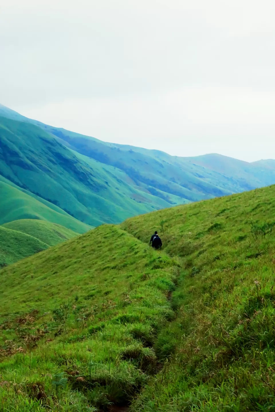 Photo of Kudremukh, Karnataka, India by Mouna Nanaiah