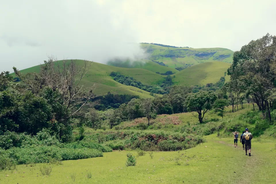 Photo of Kudremukh, Karnataka, India by Mouna Nanaiah