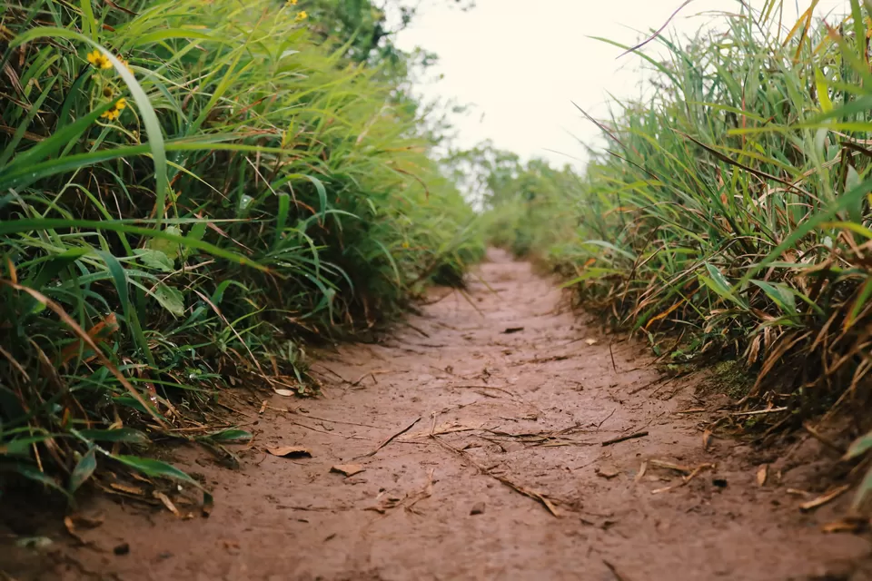 Photo of Kudremukh, Karnataka, India by Mouna Nanaiah