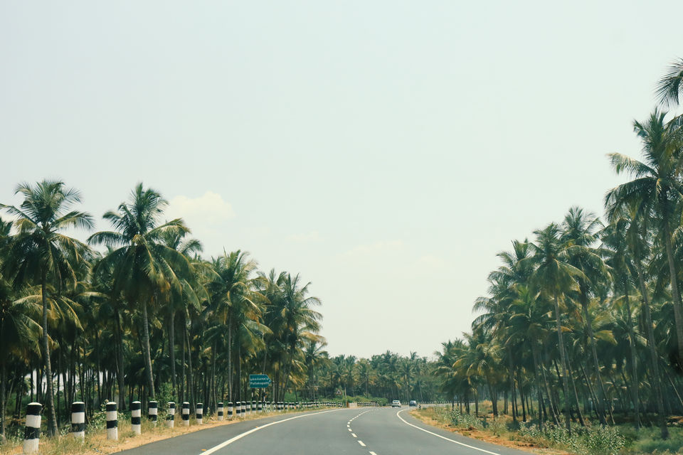 Photo of Rajakkad, Kerala, India by Mouna Nanaiah