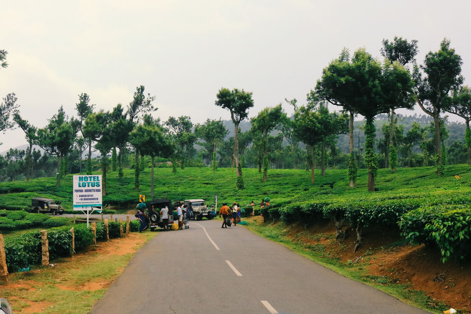 Photo of Rajakkad, Kerala, India by Mouna Nanaiah