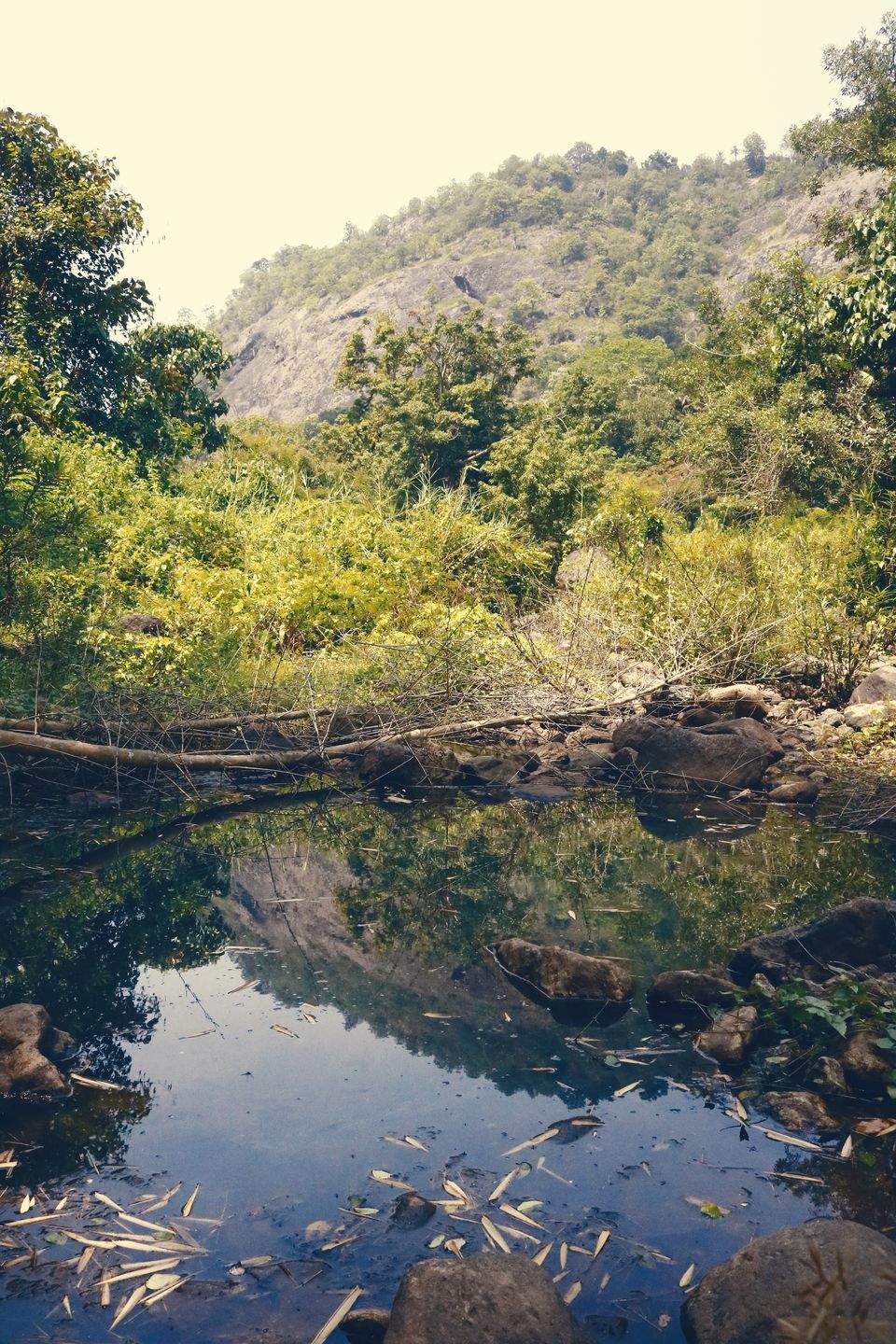 Photo of Rajakkad, Kerala, India by Mouna Nanaiah