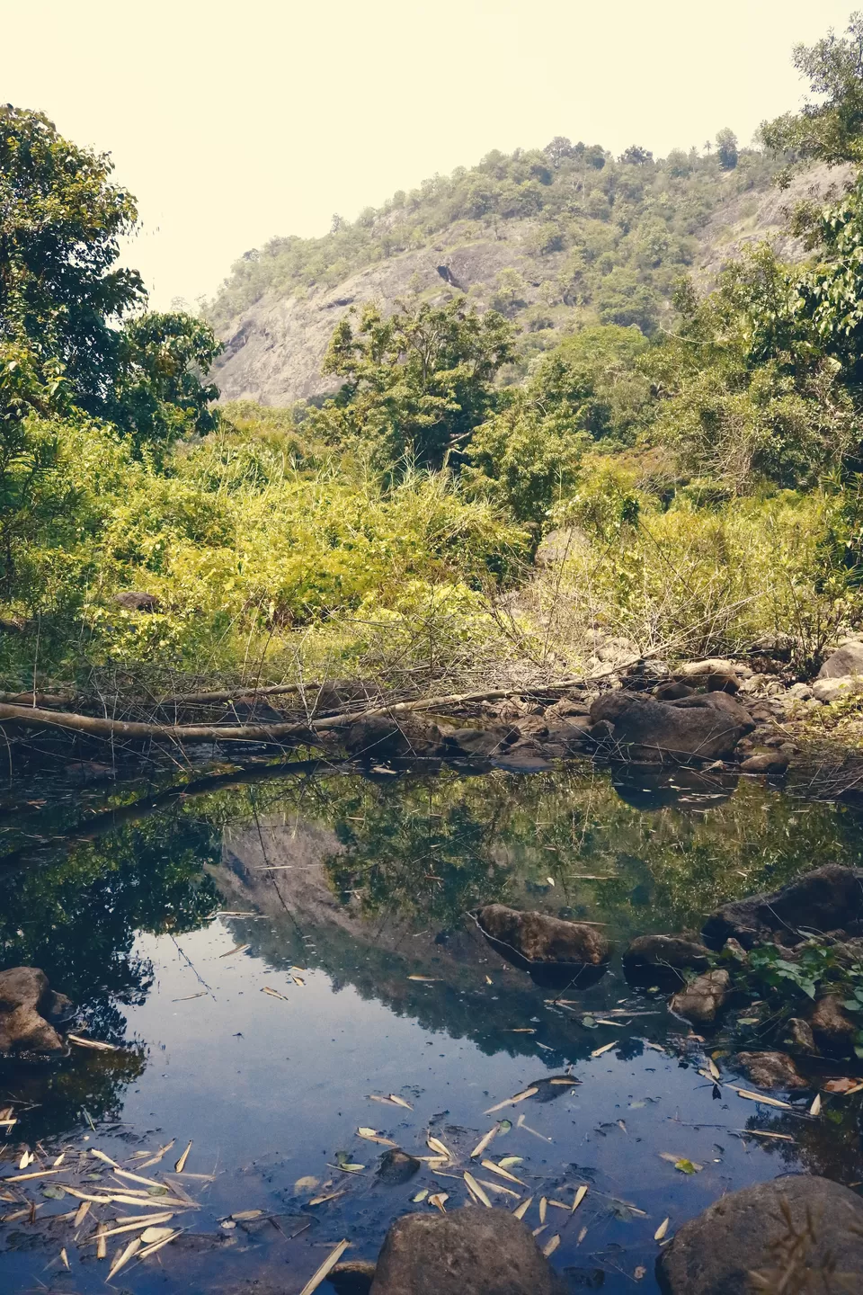 Photo of Rajakkad, Kerala, India by Mouna Nanaiah