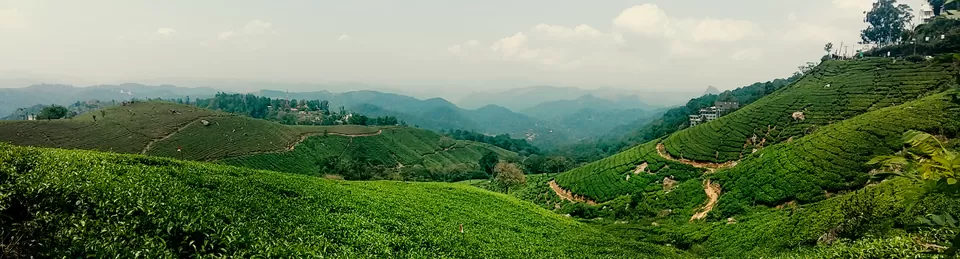 Photo of Mattupetty, Kerala, India by Mouna Nanaiah