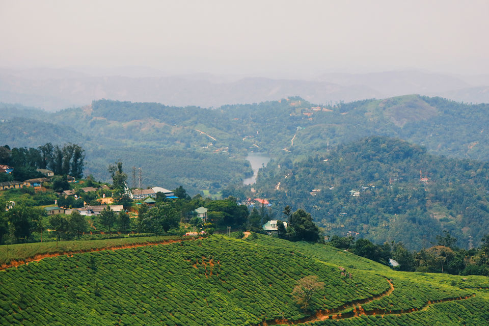 Photo of Mattupetty, Kerala, India by Mouna Nanaiah
