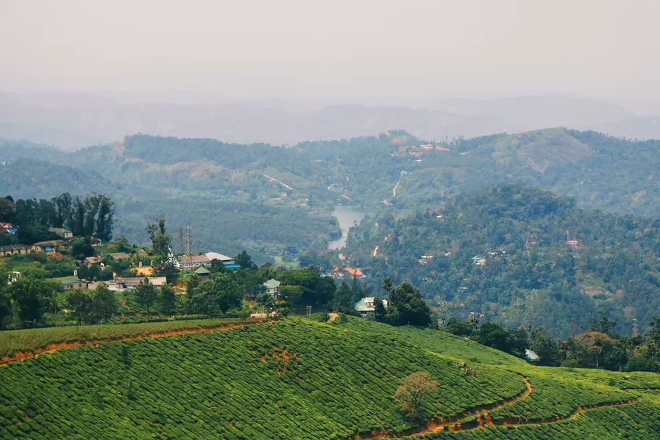 Photo of Mattupetty, Kerala, India by Mouna Nanaiah