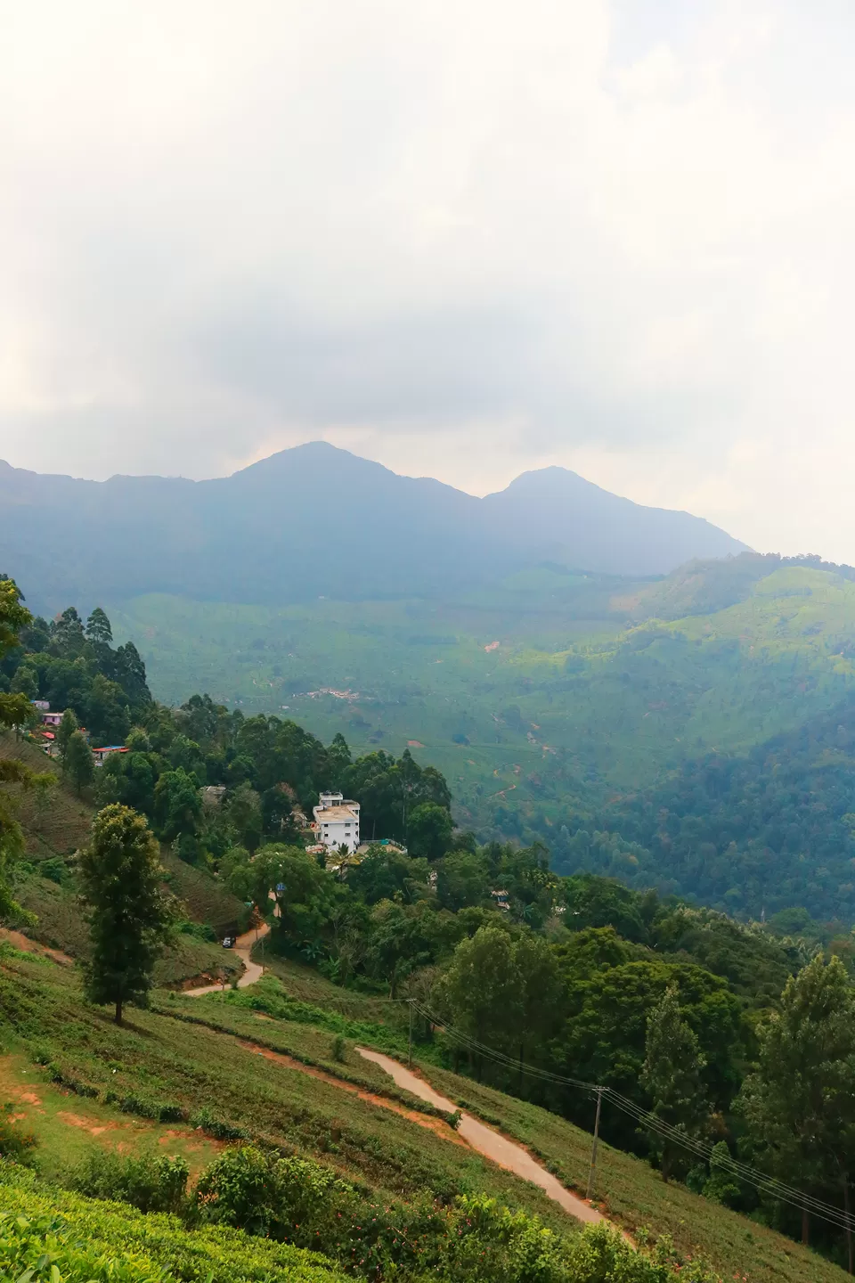 Photo of Mattupetty, Kerala, India by Mouna Nanaiah