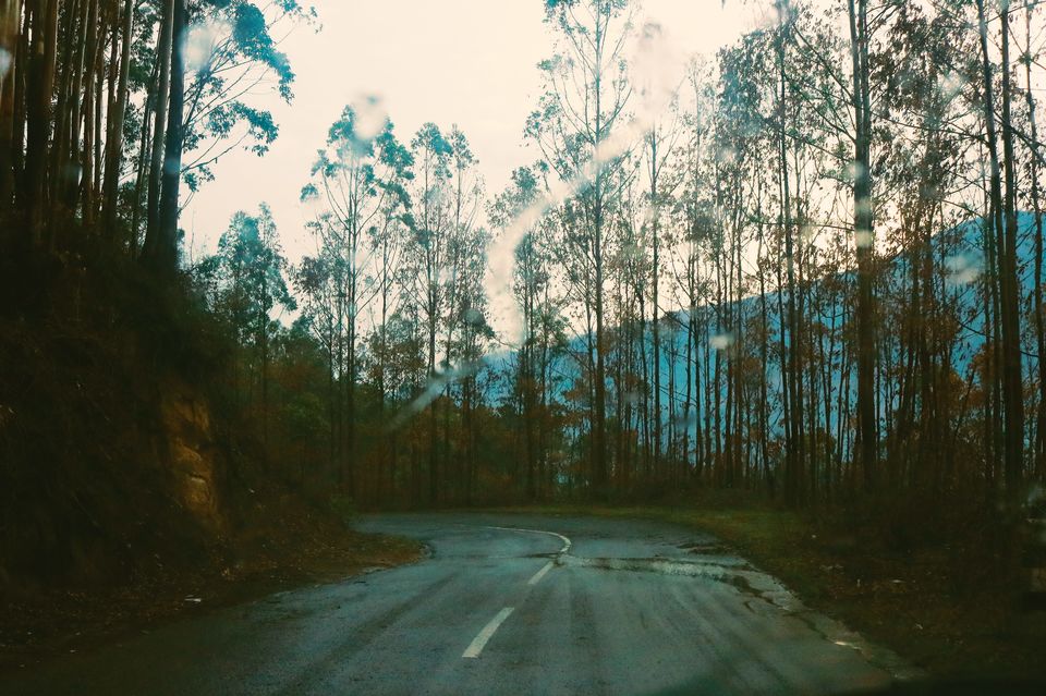 Photo of Mattupetty, Kerala, India by Mouna Nanaiah