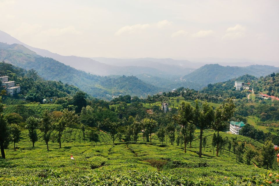 Photo of Mattupetty, Kerala, India by Mouna Nanaiah