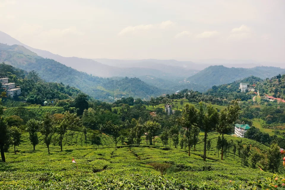 Photo of Mattupetty, Kerala, India by Mouna Nanaiah