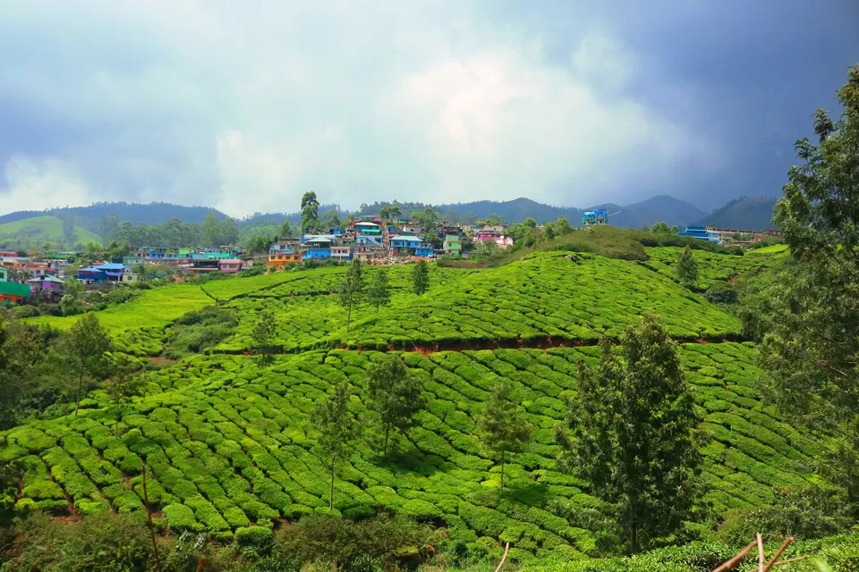 Photo of Mattupetty, Kerala, India by Mouna Nanaiah