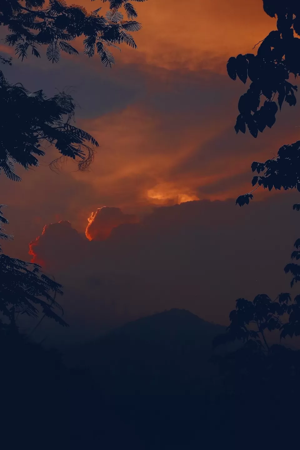 Photo of Idukki, Kerala, India by Mouna Nanaiah