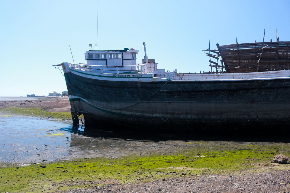Photo of Mandvi Beach, Mandvi, Gujarat, India by Mouna Nanaiah