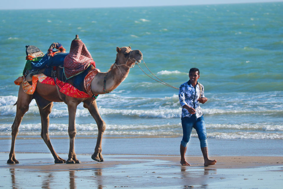 Photo of Mandvi Beach, Mandvi, Gujarat, India by Mouna Nanaiah