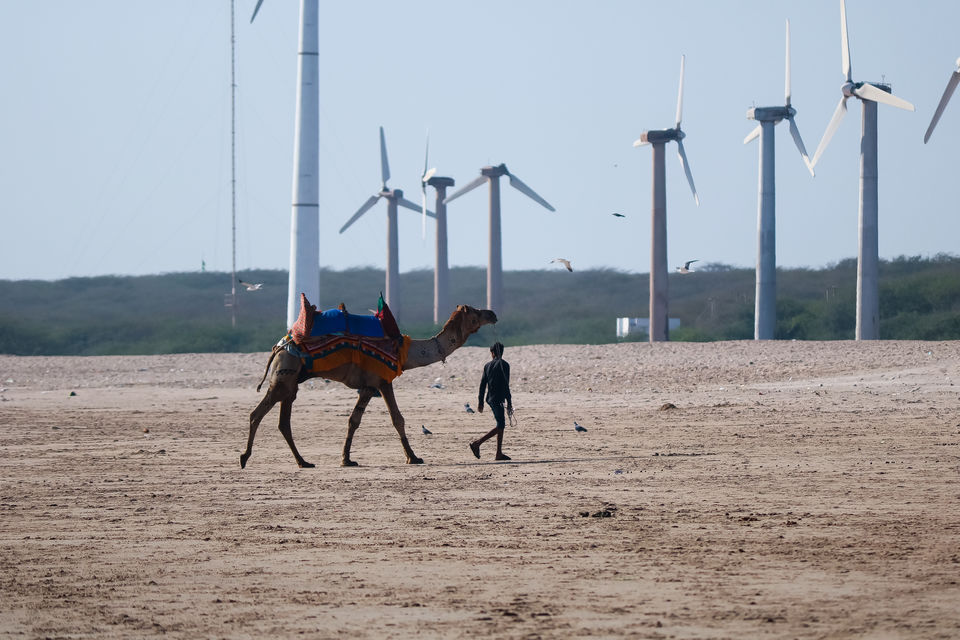 Photo of Mandvi Beach, Mandvi, Gujarat, India by Mouna Nanaiah