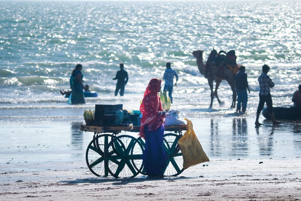 Photo of Mandvi Beach, Mandvi, Gujarat, India by Mouna Nanaiah