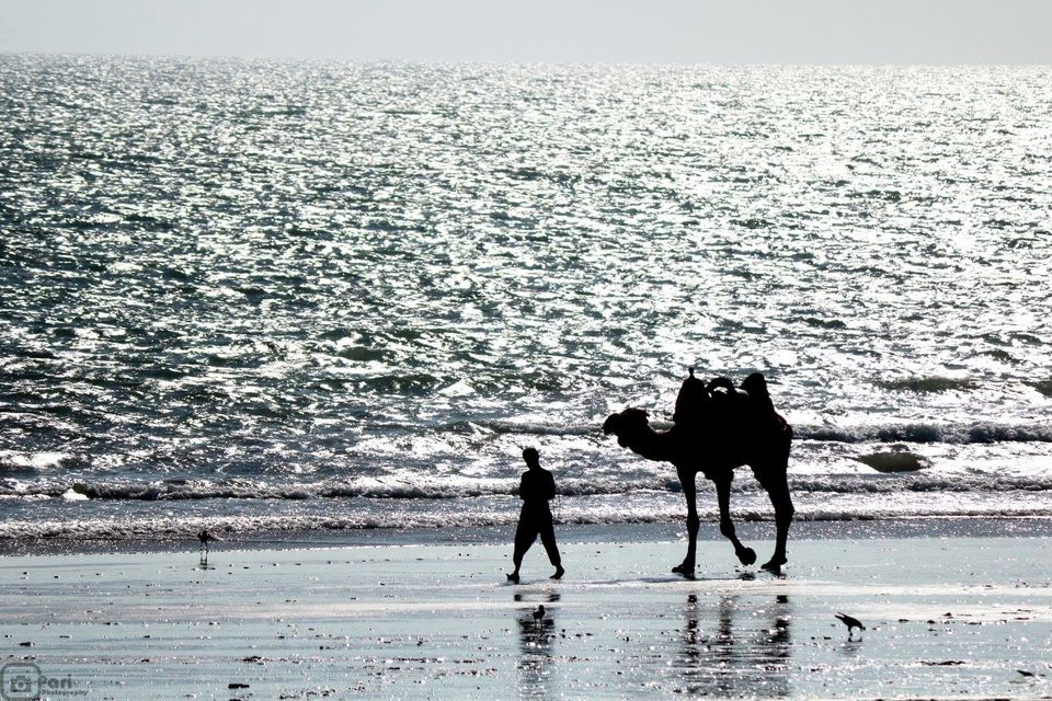 Photo of Mandvi Beach, Mandvi, Gujarat, India by Mouna Nanaiah