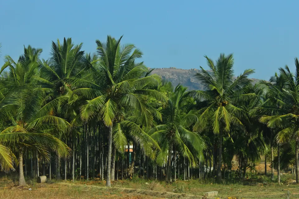 Photo of Savandurga Hill, Ramanagara, Karnataka, India by Mouna Nanaiah