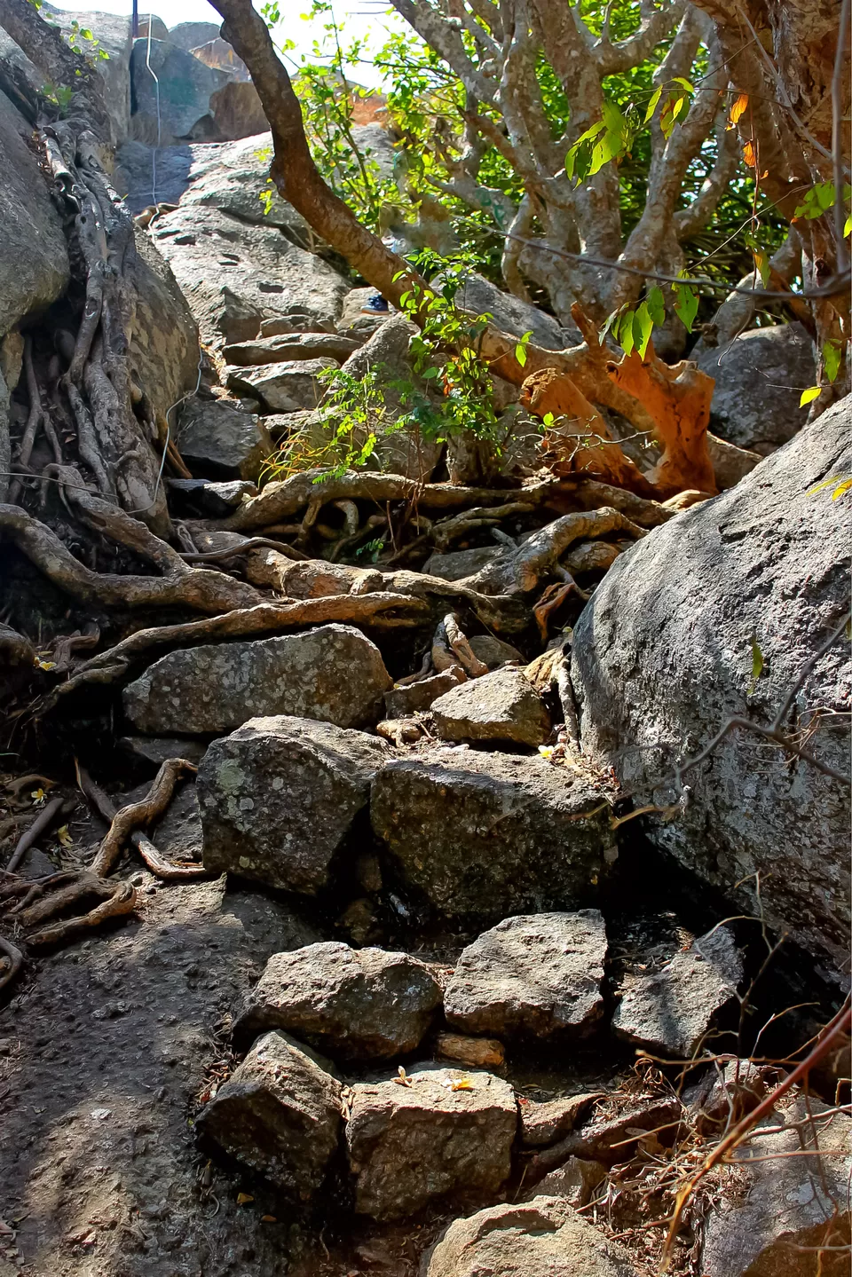 Photo of Savandurga Hill, Ramanagara, Karnataka, India by Mouna Nanaiah