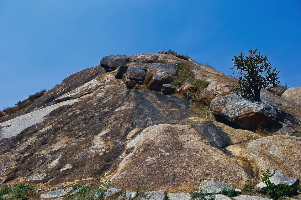 Photo of Madhugiri- the second highest monolith in Asia is 120 kms from Bangalore by Mouna Nanaiah