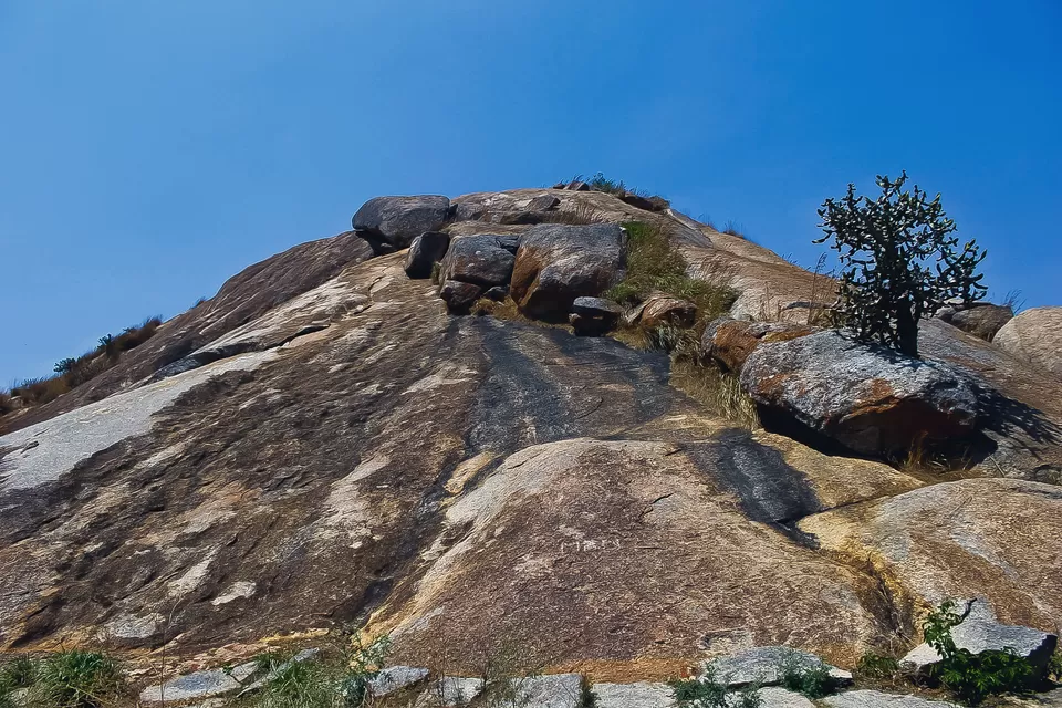 Photo of Madhugiri- the second highest monolith in Asia is 120 kms from Bangalore by Mouna Nanaiah