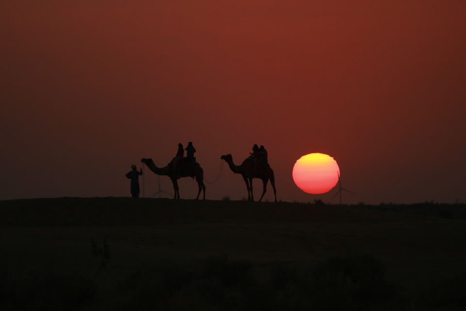 Photo of An incredible 8 day 1800 kms road trip on local transport to Rajasthan - the land of the Kings by Mouna Nanaiah