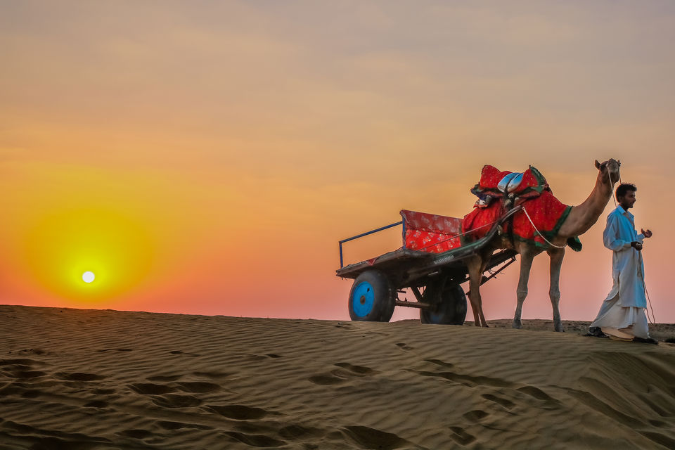 Photo of An incredible 8 day 1800 kms road trip on local transport to Rajasthan - the land of the Kings 1/4 by Mouna Nanaiah