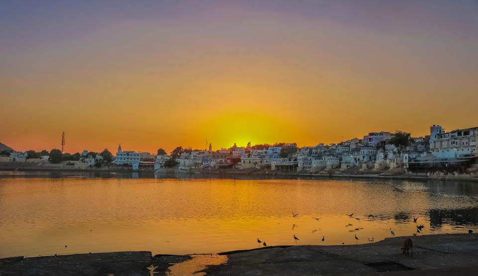 Photo of An incredible 8 day 1800 kms road trip on local transport to Rajasthan - the land of the Kings 3/4 by Mouna Nanaiah